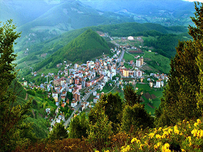 Akkuş Evden Eve Nakliyat